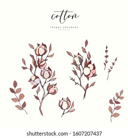 Cotton branch. Hand drawn wedding herb, plant elegant leaves for invitation save the date card design. Botanical rustic trendy greenery vector illustration