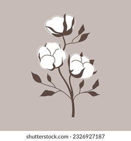 Cotton branch on a gray background. Vector illustration.