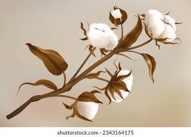 Cotton branch. Realistic botanical isolated element for decor. Fluffy plant with dried soft white balls. Packaging and textile element. Floral wedding cards. Vector 3d illustration