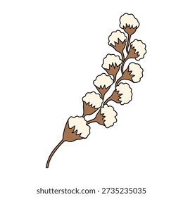 A cotton branch with several fluffy white cotton bolls.