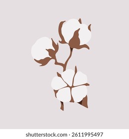 Cotton branch. Vector color illustration.