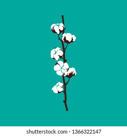 Cotton branche with cotton bolls