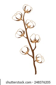 Cotton branche with cotton bolls, plant - Gossypium - flower - brown outlines - vector