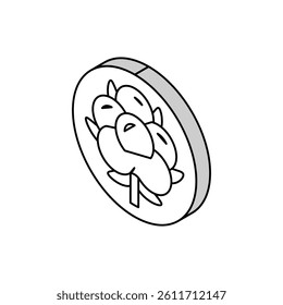 cotton clothing washing isometric icon vector. cotton clothing washing sign. isolated symbol illustration