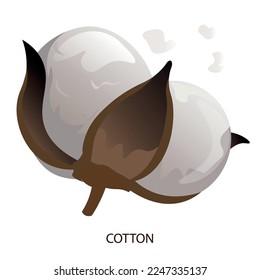 
ilustración del vector de flores de algodón