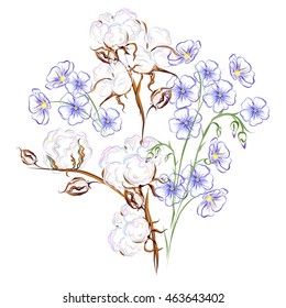 Cotton and flax. Hand drawn vector brush illustration of flax flowers and cotton branch with seed bolls