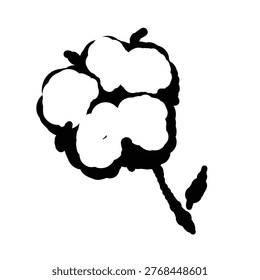Cotton flower boll on branch single object monochrome illustration transparent background 3