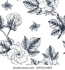 Cotton flower botanical hand drawn Isolated vector illustration seamless pattern. Frame flower sketch template for card design, invitation, packaging, label, party, holiday decor. Engraving style