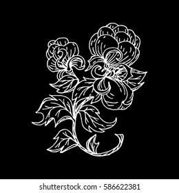 cotton, flower image for Tattoo. Label, decorative element for design. Printing on fabric or mug. Vector illustration, isolated. Linear ink drawing, handmade.