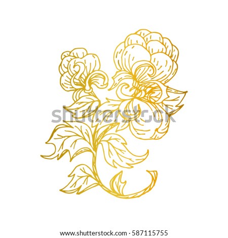 cotton, flower image for Tattoo. Label, decorative element for design. Printing on fabric or mug. Vector illustration, isolated. Linear ink drawing, handmade.