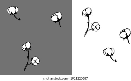 Cotton flower isolate, cotton set, simple hand drawing sketch, vector EPS10. Eco friendly theme illustration, commercial use.
