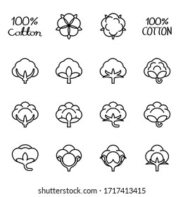 Cotton flower isolated vector icon, cotton design concept logo.