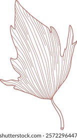 Cotton Flower Leaf Sketch Vector Illustration