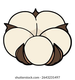cotton flower nature plant tree flat color vector illustration template design