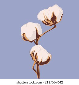 Cotton flower plants, fluffy balls. Hand drawn Vector illustration in flat style. Pastel colors