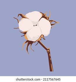 Cotton flower plants, fluffy balls. Hand drawn Vector illustration in flat style. Pastel colors