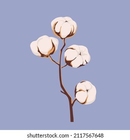 Cotton flower plants, fluffy balls. Hand drawn Vector illustration in flat style. Pastel colors