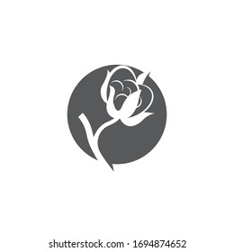 Cotton flower vector icon template symbol nature