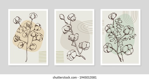 Cotton flower wall art plant set. Foliage of nature line art drawing with abstract shape. Modern Abstract Plant Art design for print, cover, wallpaper, illustration with decor wall art.