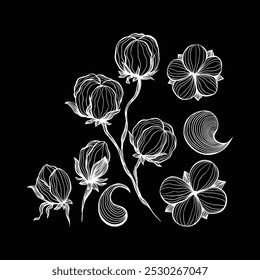 Cotton flowers abstract line art contour drawings.