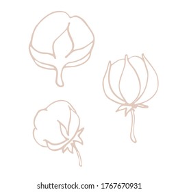 Cotton flowers and balls, rustic, elegant herb. Cotton flower for wedding invitation, greeting card, label, logo, icon. Symbol of natural eco organic. Outline. Vector hand drawn stock illustration.