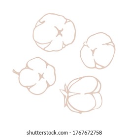 Cotton flowers and balls, rustic, elegant herb. Cotton flower for wedding invitation, greeting card, label, logo, icon. Symbol of natural eco organic. Outline. Vector hand drawn stock illustration.