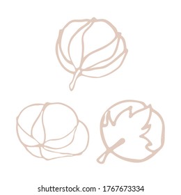 Flores y bolas de algodón, hierba rústica y elegante. Flor de algodón para invitación a boda, tarjeta de saludo, etiqueta, logotipo, icono. Símbolo ecológico natural. Esquema. Ilustración del material extraído a mano por vectores.