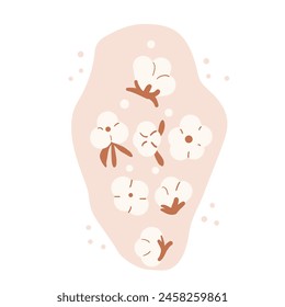 Cotton flowers composition isolated on white background. Ripe cotton bolls. Purity, innocence, and new beginnings symbol. Vector hand drawn flat illustration