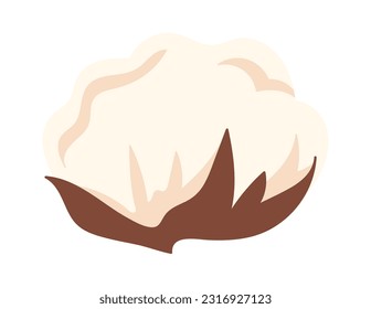 Cotton Flowers Head Vector Illustration