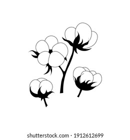 Cotton flowers, isolated black and white plant, vector illustration.