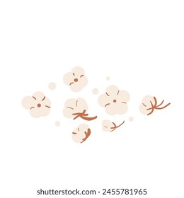 Cotton flowers isolated on white background. Ripe cotton bolls. Purity, innocence, and new beginnings symbol. Vector hand drawn flat illustration