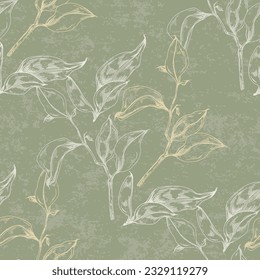 Cotton flowers seamless pattern. Perfect for wrapping paper or fabric. Background floral texture.