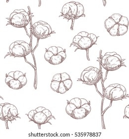 Cotton flowers seamless pattern. Vector illustration in sketch style.