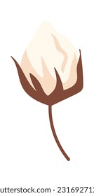 Ilustración del vector de vástagos de las flores de algodón