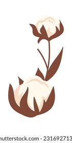 Ilustración del vector de vástagos de las flores de algodón