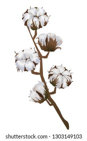 Cotton flowers in vector isolated on white background. 3d realistic clip art for labels: cottonseed oil, extract, fabrics, wool.