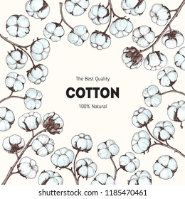 Cotton hand drawn frame, colored illustration. Vintage vector illustration. Design template. Cotton illustration.