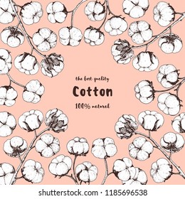 Cotton hand drawn frame, colored illustration. Vintage vector illustration. Design template. Cotton illustration.