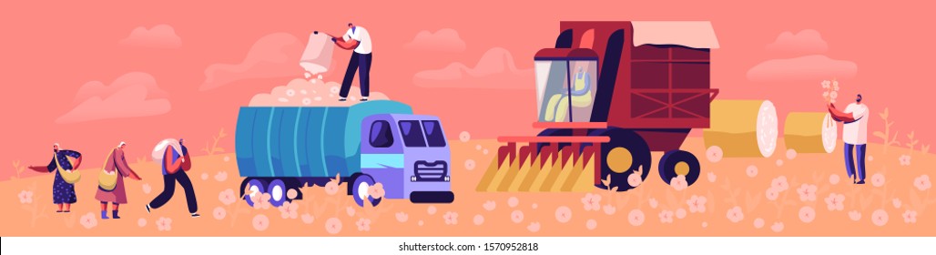 Cotton Harvesting Concept. Male and Female Laborer Characters Picking Fiber on Field and Put into Truck for Shipping and Transportation. Agribusiness Textile Industry. Cartoon Flat Vector Illustration