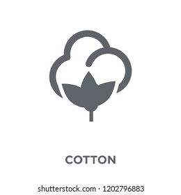 Cotton icon. Cotton design concept from Agriculture, Farming and Gardening collection. Simple element vector illustration on white background.