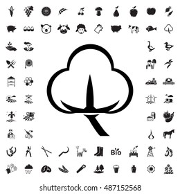 Cotton icon illustration isolated vector sign symbol