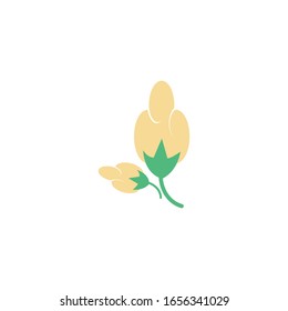 Cotton icon Vector Illustration design Logo template