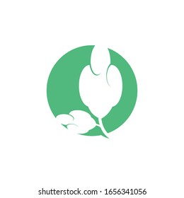 Cotton icon Vector Illustration design Logo template