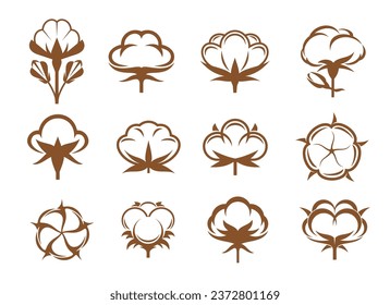 Cotton icons of vector organic plant flowers with soft pure fiber bolls, buds, cases, seeds and leaves. Brown cotton flower isolated symbols set of natural fabric label, textile material, clothing tag