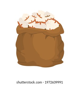 Cotton inflorescences in bag. Cotton harvest. vector illustration