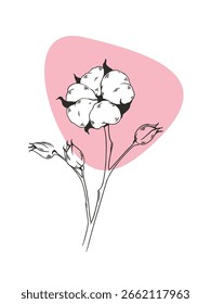 Ilustración vectorial botánica del arte de la línea del algodón