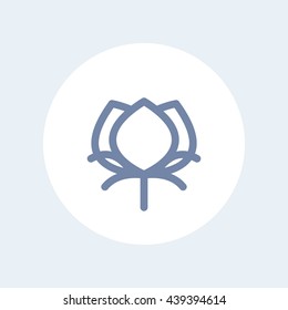 cotton line icon, outline isolated on white, vector illustration