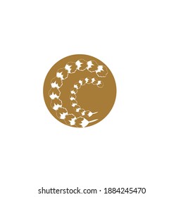 Cotton Logo Template vector symbol nature