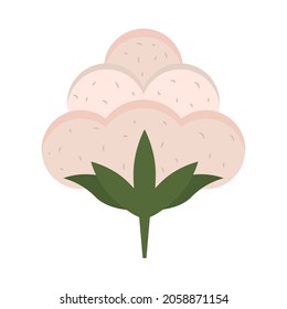 cotton nature flower flat icon