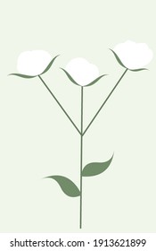 cotton on light background, isolated subject